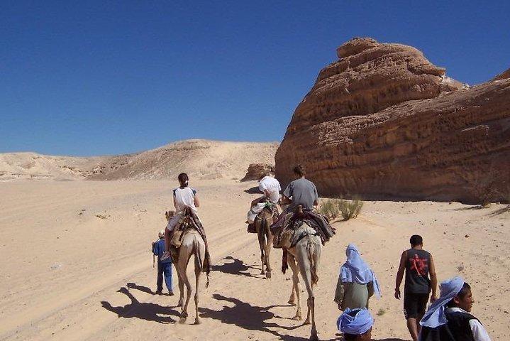 White Canyon 1-daagse kameelsafari vanuit Dahab