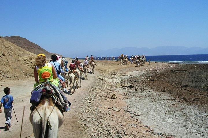 Tour di snorkeling di Ras Abu Galum e Blue Hole da Taba