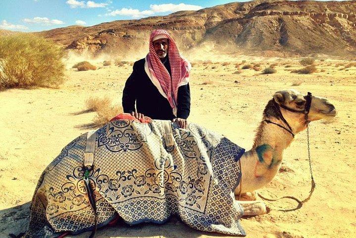 Safari à dos de chameau au départ de Dahab 3 jours 2 nuits