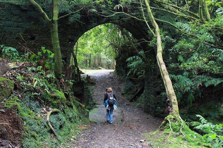 Heldags Lagoa do Fogo-tur + promenader + spritprovning PRIVAT