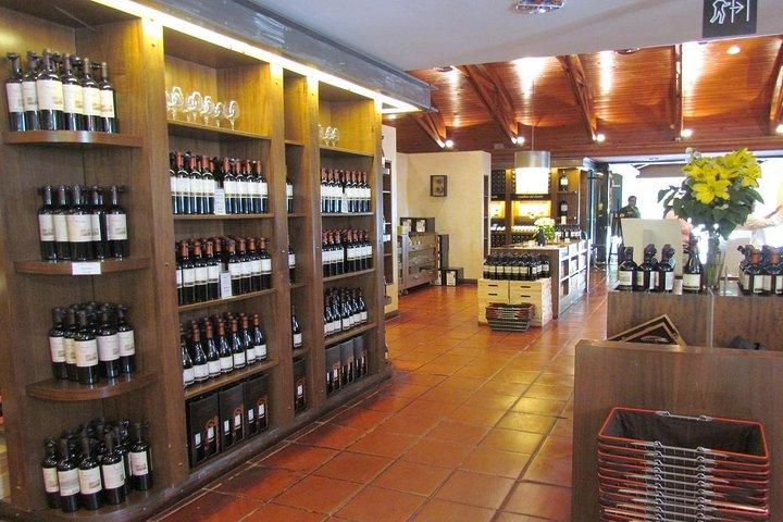 Privé Andes-dagtocht Maipo Valley met Concha Y Toro Wine Tour