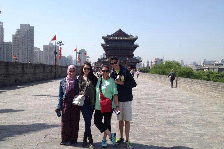 Customizable Terracotta Warriors Tour med Privat Transport og Guide