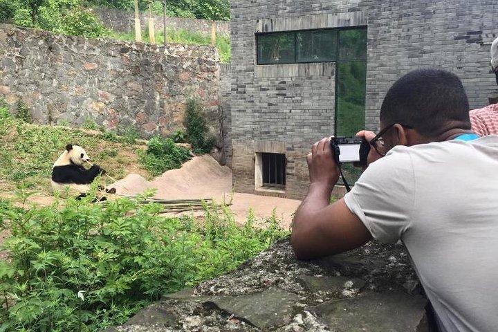 Chengdu Panda Tour and Sichuan Cuisine Experience