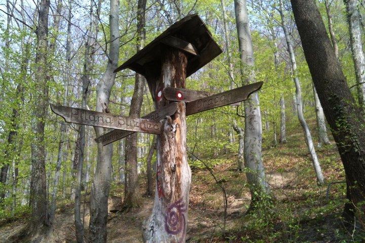 Medvednica Escursionismo e castagne Picking Tour da Zagabria