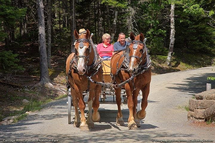 3-Hour Private Luxor Horse Carriage City Tour
