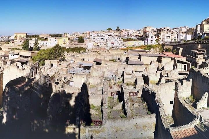 4/hours Half Day Trip Excursion to Herculaneum - Guide included