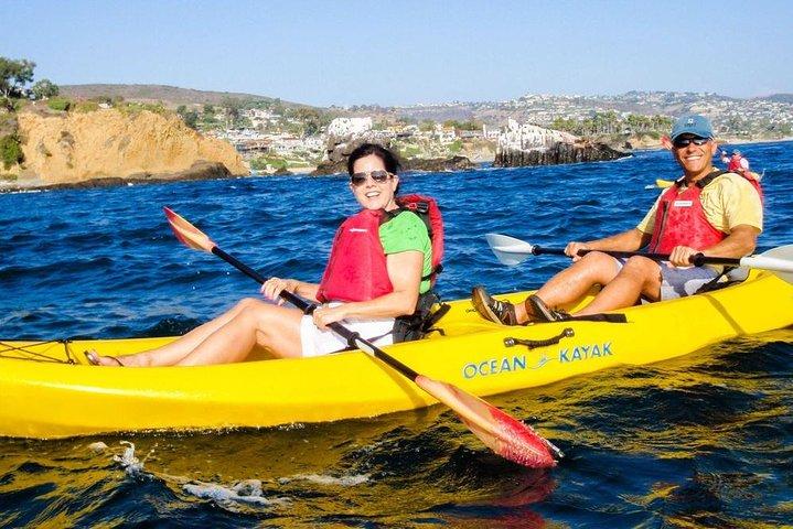 Laguna Beach Kayak Tour med Sea Lion Viewing