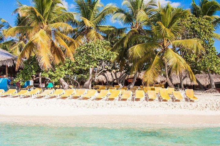 Full-Day Catalina Island Scuba Diving Tour fra Punta Cana