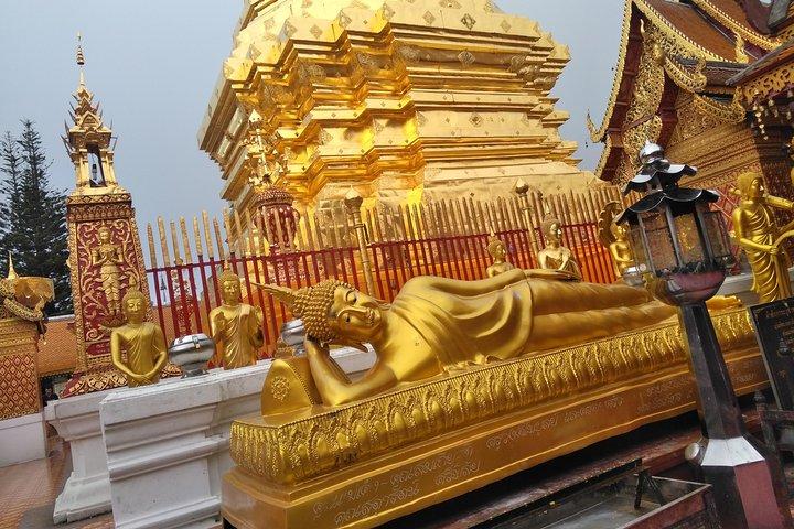 Nr. 1 Chiang Mai: 3-timers Monk Trail-vandring til Wat Doi Suthep & Palad
