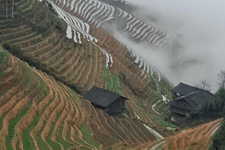 Yangshuo Xianggong Hill og Longji Rice Terraces Privat dagstur