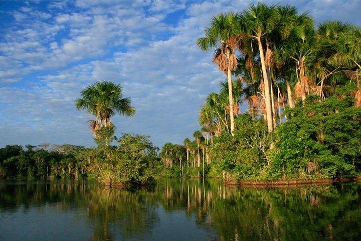2 dias 1 noite - selva de Tambopata