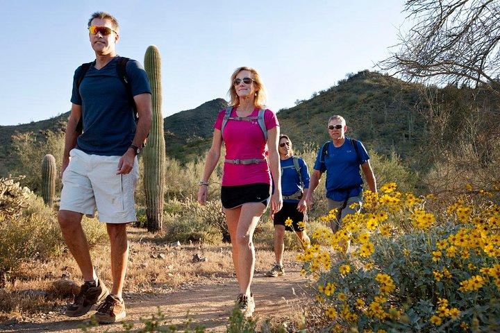 Sonoran Desert Guided Hike