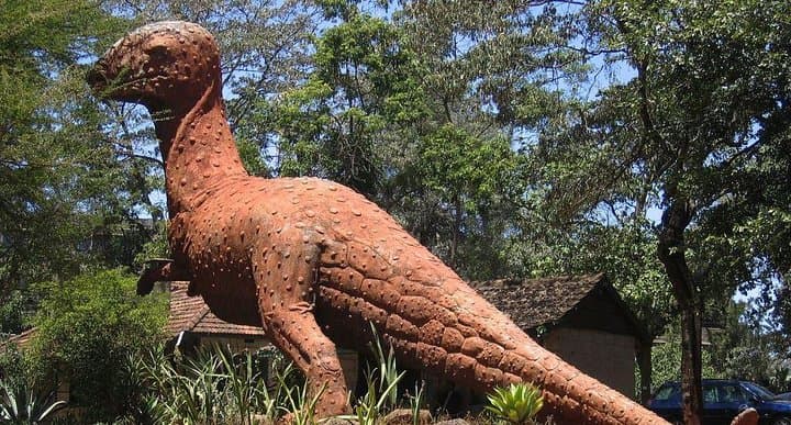 Half Day Tour to Nairobi National Museum & Snake Park