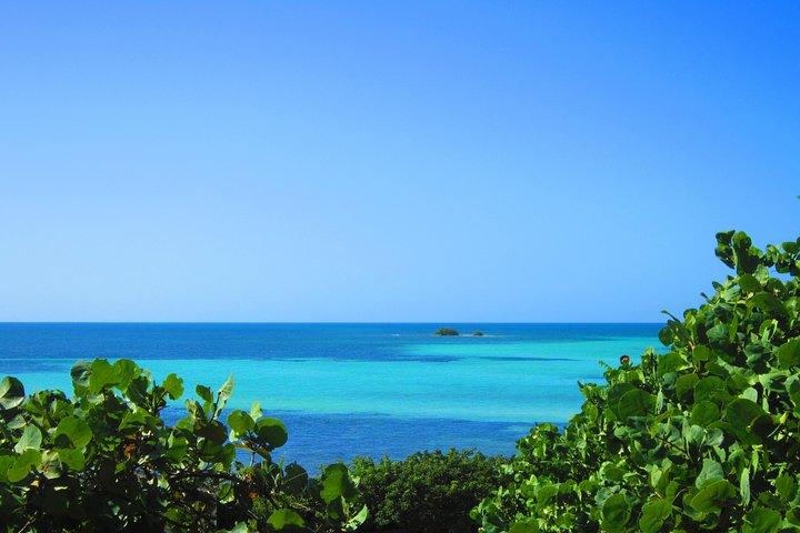 Tour di un'intera giornata delle chiavi della Florida, compresi gli incontri con l'acquario da Key West