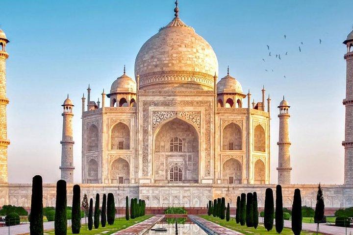 Privat Taj Mahal Day Tour med tog fra Delhi