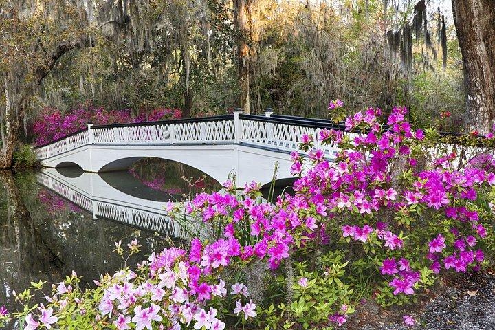 Entrada e excursão da Magnolia Plantation com transporte de Charleston
