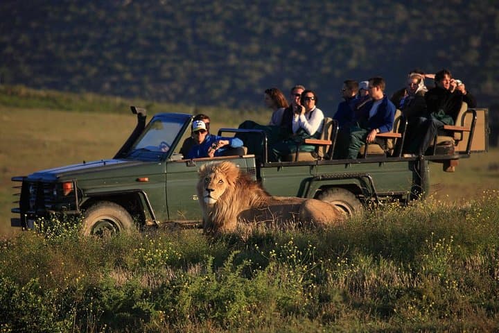 2 Day Safari Experience from Cape Town