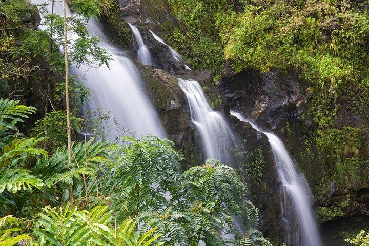 1日天国の花ツアー:オアフ島からマウイ島へのアイランドホッピング