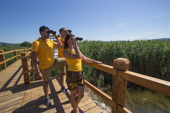Lake Vrana: dieren in het wild op zijn best