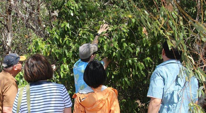 Magnetic Island Tour: Maggie completa