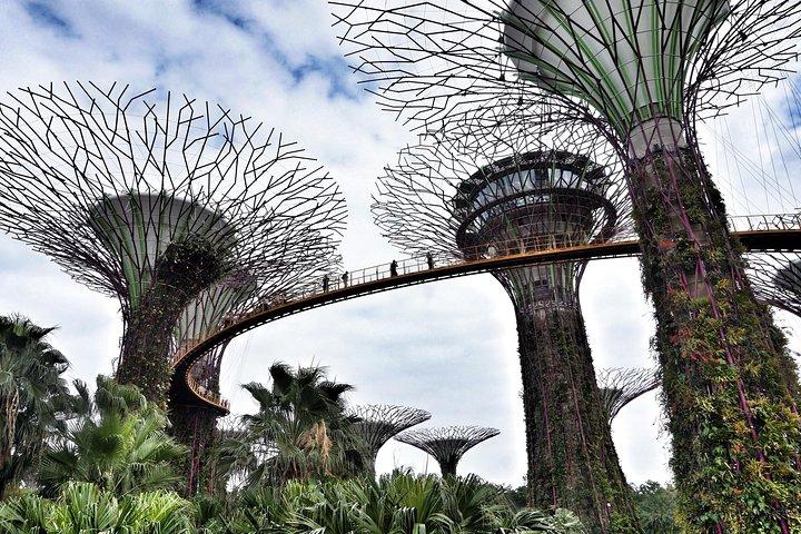 6 oder 8 Stunden privater Landausflug von Singapur zu Fuß