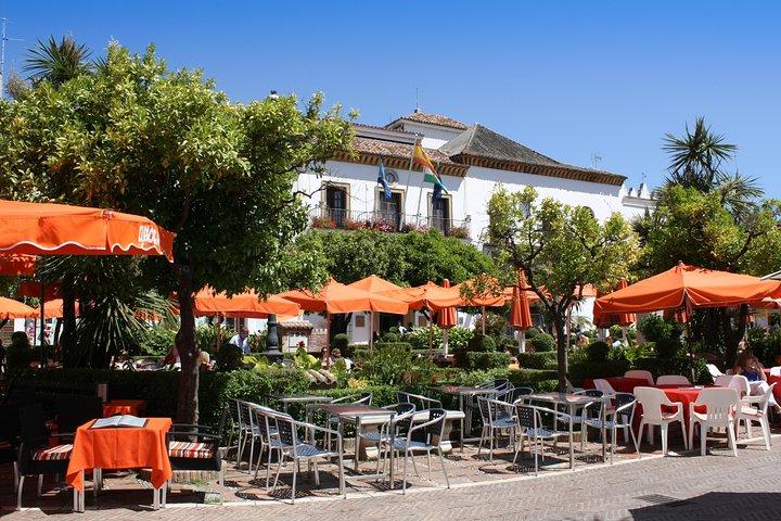 Malaga privat kystudflugt til Marbella og Puerto Banus