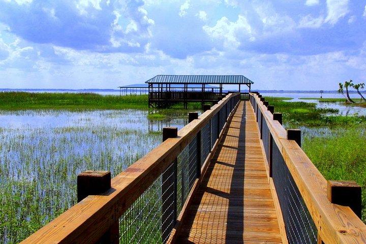 Wild Florida Adventure Package Tour com Hotel Pickup & Almoço