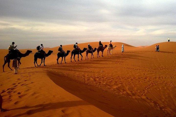 Best of Moroccan Sahara: 5-Day Guided Tour from Marrakech