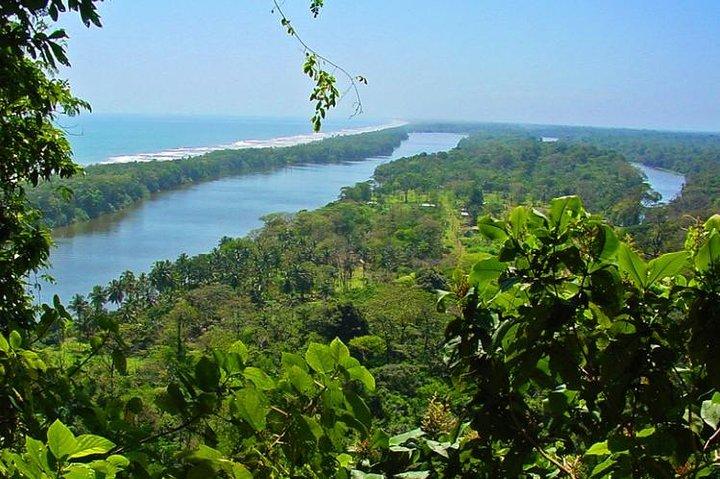 Private Limon Shore Excursion: Tortuguero Canals Tour