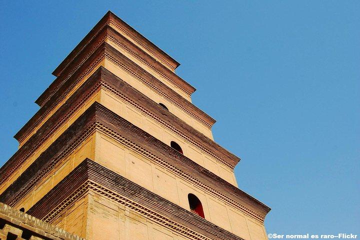 Culture et histoire de Xian Aperçu Visite privée d'un jour