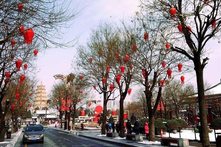 4 Horas de Xian na Muralha da Cidade e Big Wild Goose Pagoda
