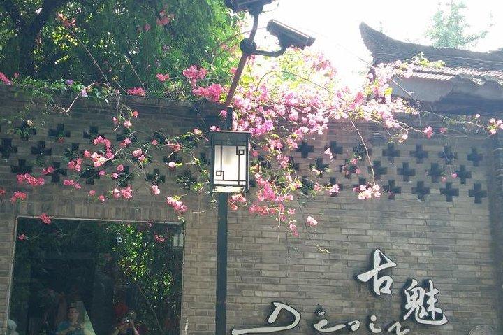 Customizeable Chengdu Private Tour af Panda Base og City Sightseeing