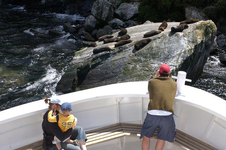 Doorkruis Milford NZ - ervaar een kleinschalige cruise