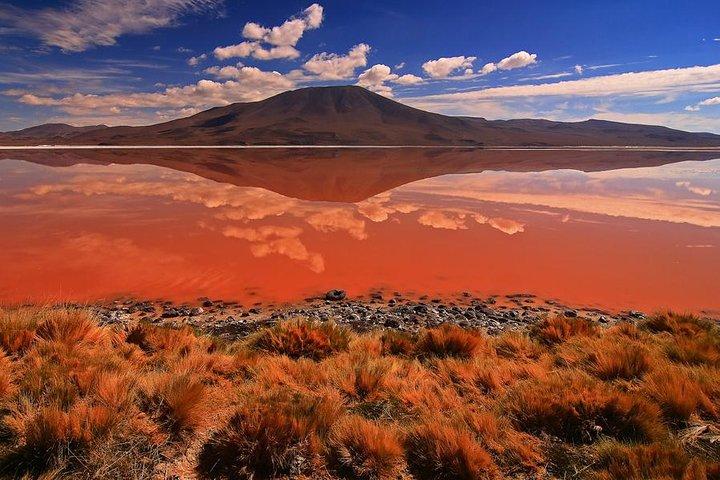 Uyuni Salt Flats & Colored Lagoons – 3-Day Journey