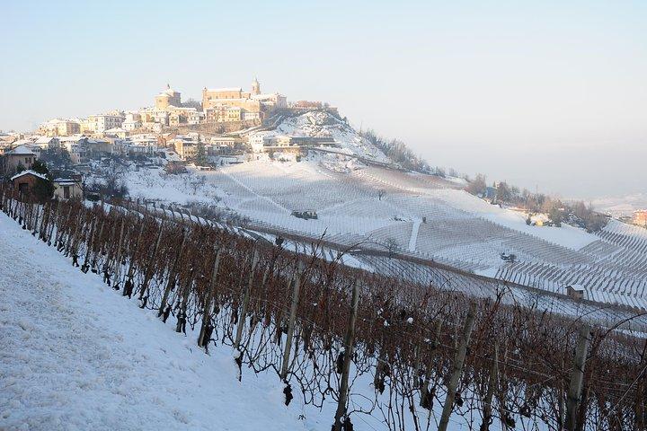 Private Tour ab Turin: Ganztägige Region Langhe mit ihren Farben und Aromen
