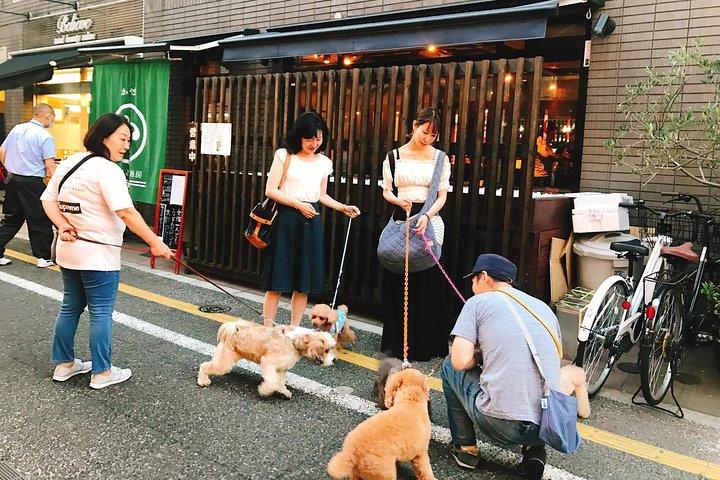 Gotokuji and Setagaya Walking Tour: Home of the Lucky Cat Statue