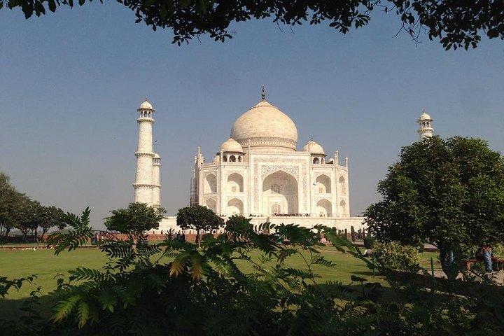 Tour privato: Tajmahal e Agra Fort Day Trip da Nuova Delhi