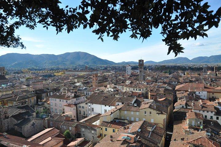 Livorno Private Landausflug von Pisa und Lucca