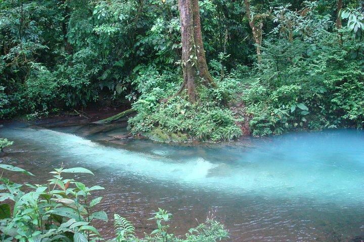 Río Celeste naturvandring og svømmeoplevelse ved den blå flod