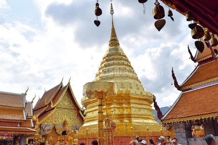 Halv dag Doi Suthep Temple og Palad Temple (Privat tur)