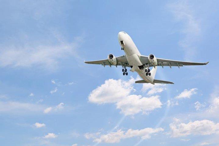 Transfer de chegada privada: Aeroporto Internacional de Guarulhos