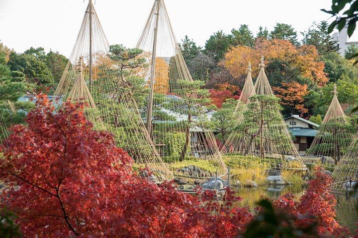 Guidede halvdagstur (AM) til Atsuta Shrine og Shirotori Garden i Nagoya