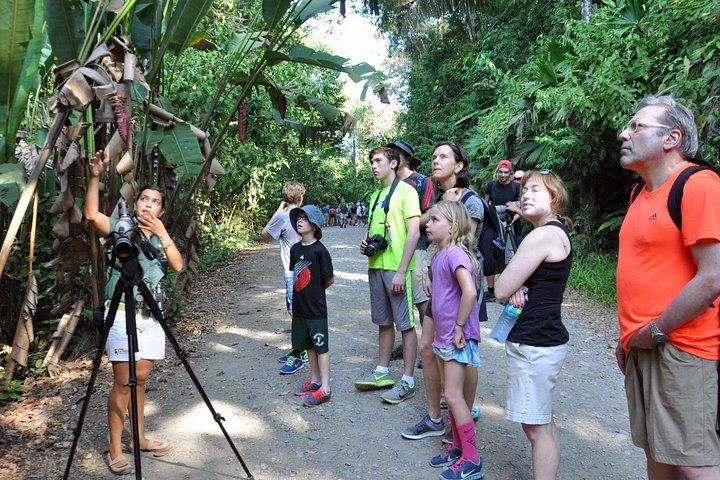 Visite guidée du parc national Manuel Antonio