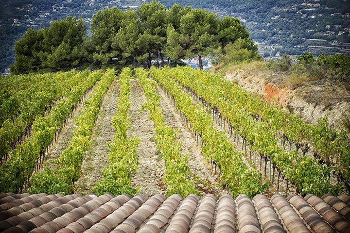 Privat tur, middelalderlig Saint Paul og vinsmagning (fra Nice)