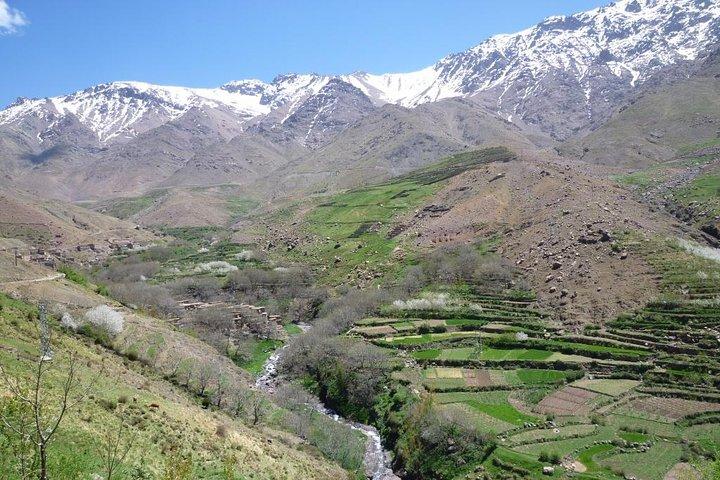 Mountains And Agafay Desert & 3 Valley & Berber Villages with Camel Rid