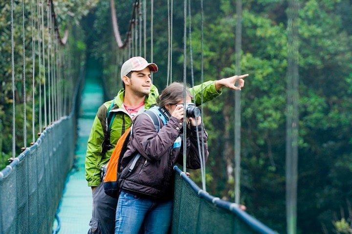 Arenal Hanging Bridges and Hot Springs Private Tour from San Jose