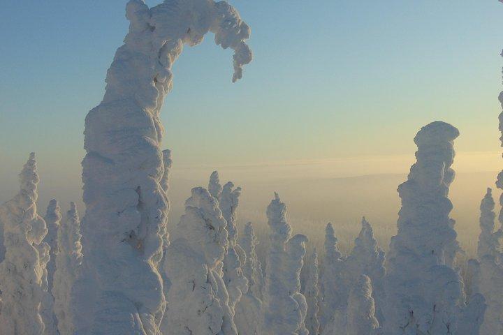 Polarkreis Winter Drive Abenteuer