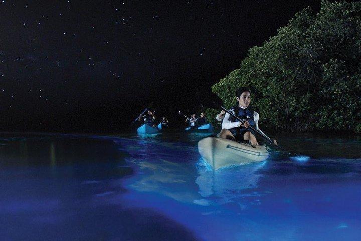 Overnachting Bio Bay Kayak Tour op het eiland Vieques