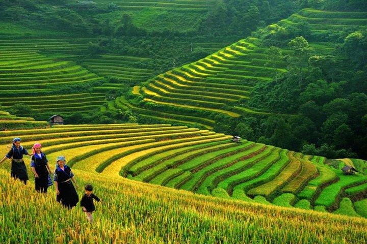 Sapa Trek Tours - Soggiorno 2 giorni e 1 notte a 3*** - TRASFERIMENTO IN AUTOBUS NOTTURNO