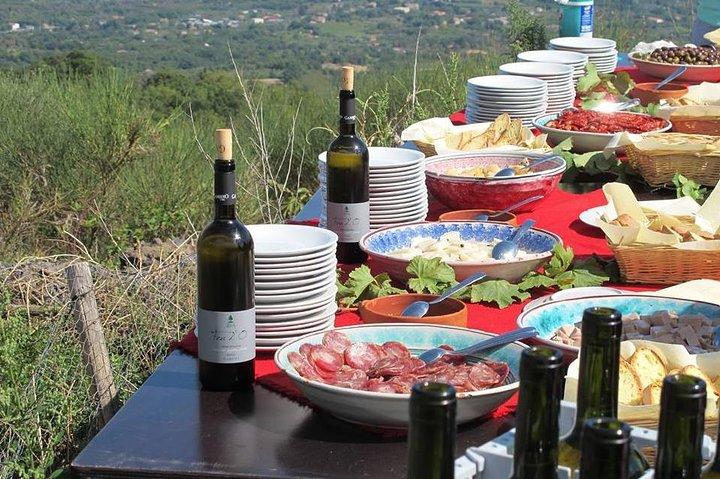De Syracuse : Visite privée de l'Etna avec déjeuner à l'Etna Winery